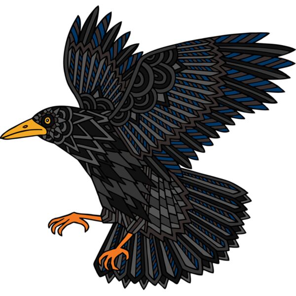 A Denholm Blackbird Thumbnail